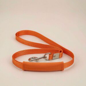 TrailBlazer Padded Leash Orange nylon dog leash with padded handle