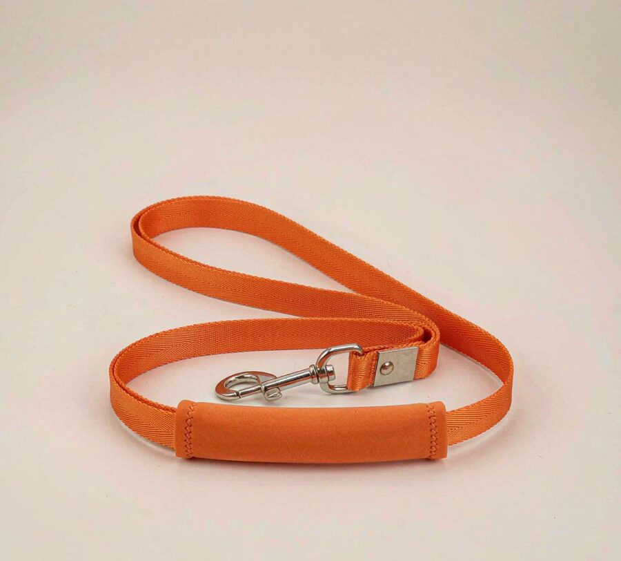 Orange nylon dog leash with padded handle